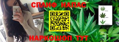 сатива Аргун