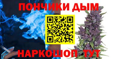 сатива Аргун