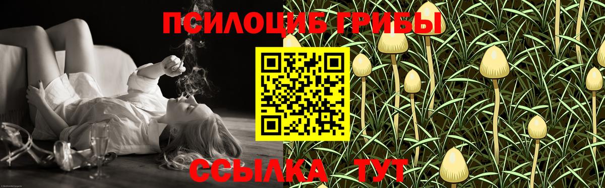 Белая Калитва  купить наркотики сайты  Псилоцибиновые грибы ЛСД  Вход с VPN  Псилоцибиновые грибы Psilocybe 